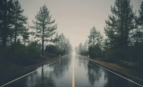 a wet road with trees on the side