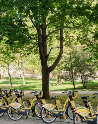 Amsterdam - Sustainability - Primary Image