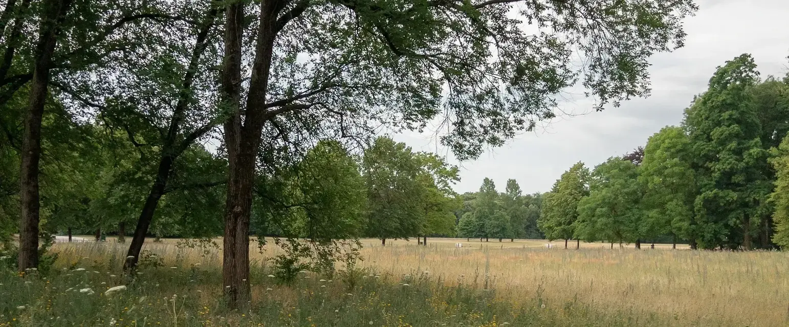 The Englischer Garten